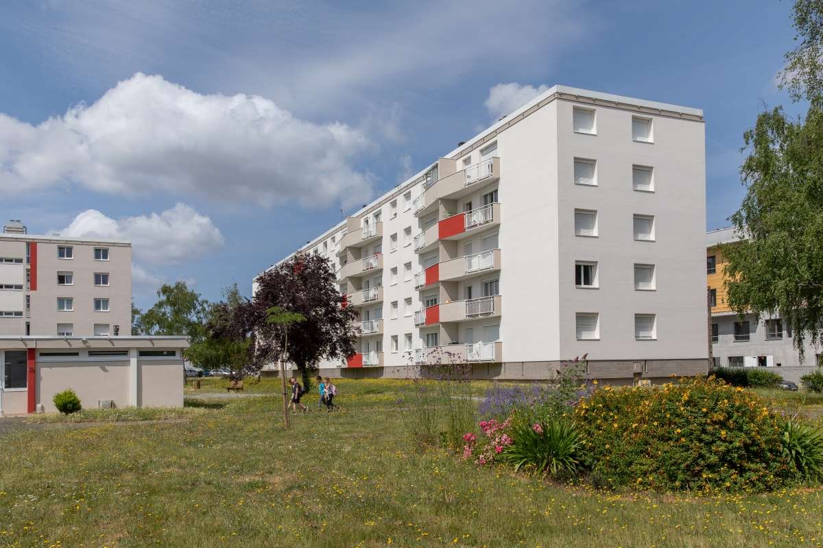 vue d'ensemble, espace vert, jardin fleuri